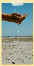 Water being poured in desert